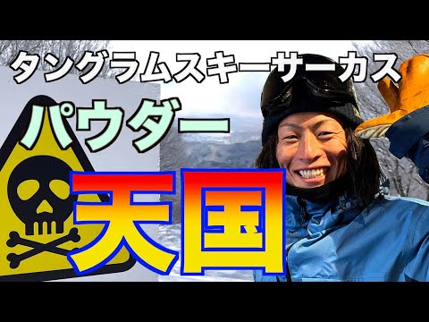 【パウダーを滑りたくなる動画】タングラム斑尾 タングラムスキーサーカス 長野県【田中隆太 ゲレンデリポート】 — ももダウンヒル