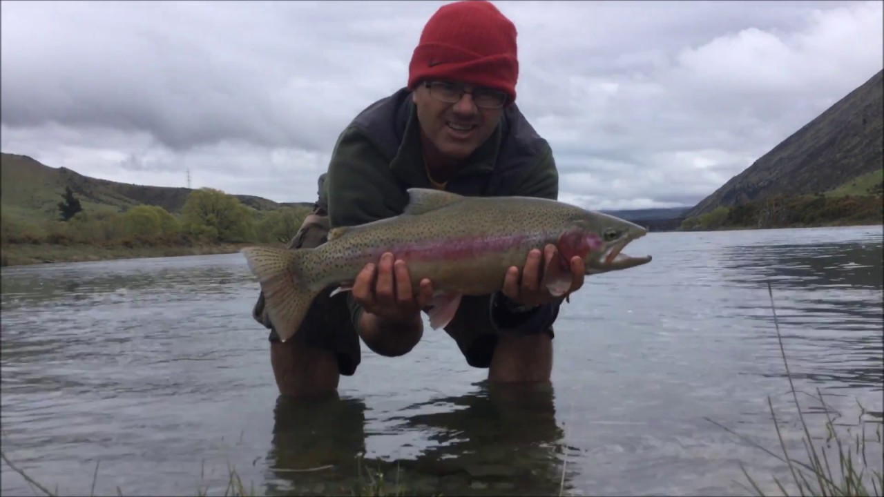 Waitaki River Trout Fishing New Zealand YouTube