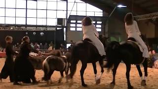 3 Ème Place - Groupe Adultes - Les Galossiens - Salon Du Cheval Hannut 2018