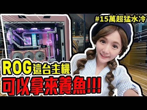 婕翎-在主機裡面放天竺鼠真的不意外!(ft. Rog)