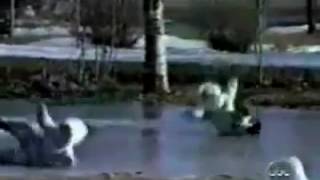 1583 Slide Too Funny, Laugh From The Beginning To The End