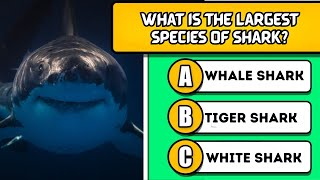 General Knowledge Quiz - 40 Questions .HOW SMART YOU ARE🧠