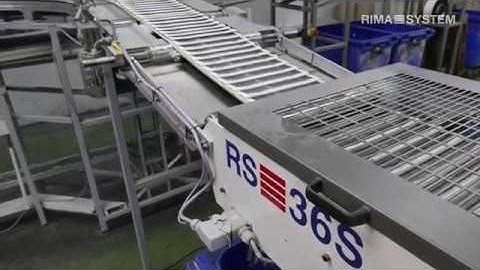 Newspaper production with RS 36S Newspaper Stacker behind Colorman