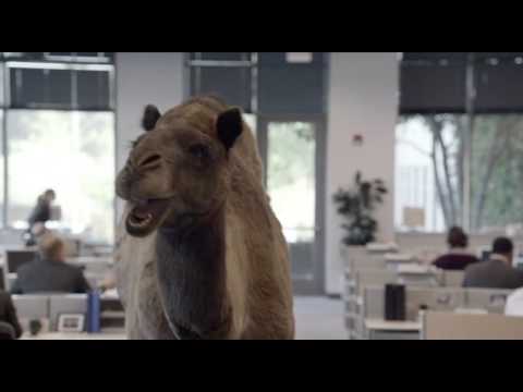 Geico - Hump Day REMIX "Guess What Day It Is" Camel (FINAL) Happier than a Camel on Wednesday