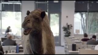 Geico - Hump Day REMIX 'Guess What Day It Is' Camel (FINAL) Happier than a Camel on Wednesday