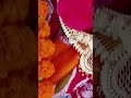 জয় রানি মা 🌺 #জয়