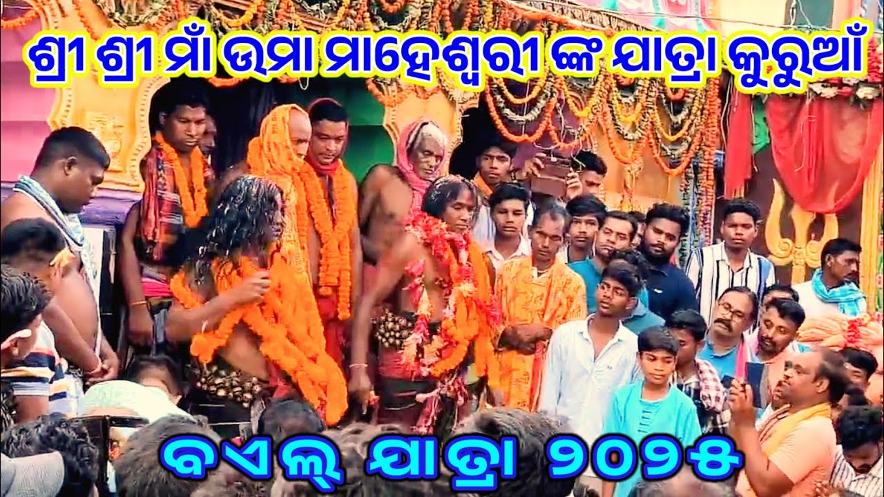 Maheshwari Yatra 2025 || Maa Uma Maheshwari Kuruan || Boil Jatra 2025
