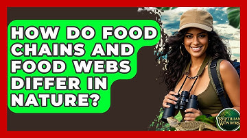 How Do Food Chains And Food Webs Differ In Nature? - Reptilian Wonders