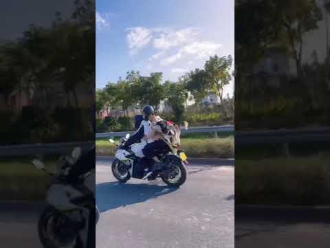 Behawiorystka ocenia najgorszy