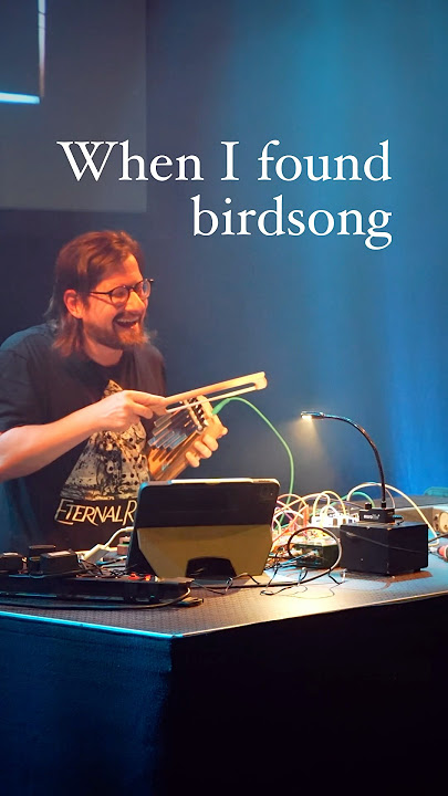 A surprising place for birds to hide