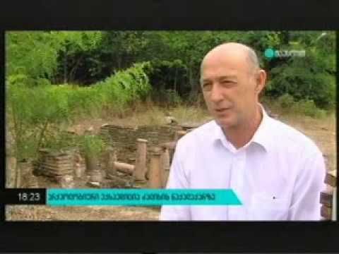 ძალისის არქეოლოგიური გათხრები