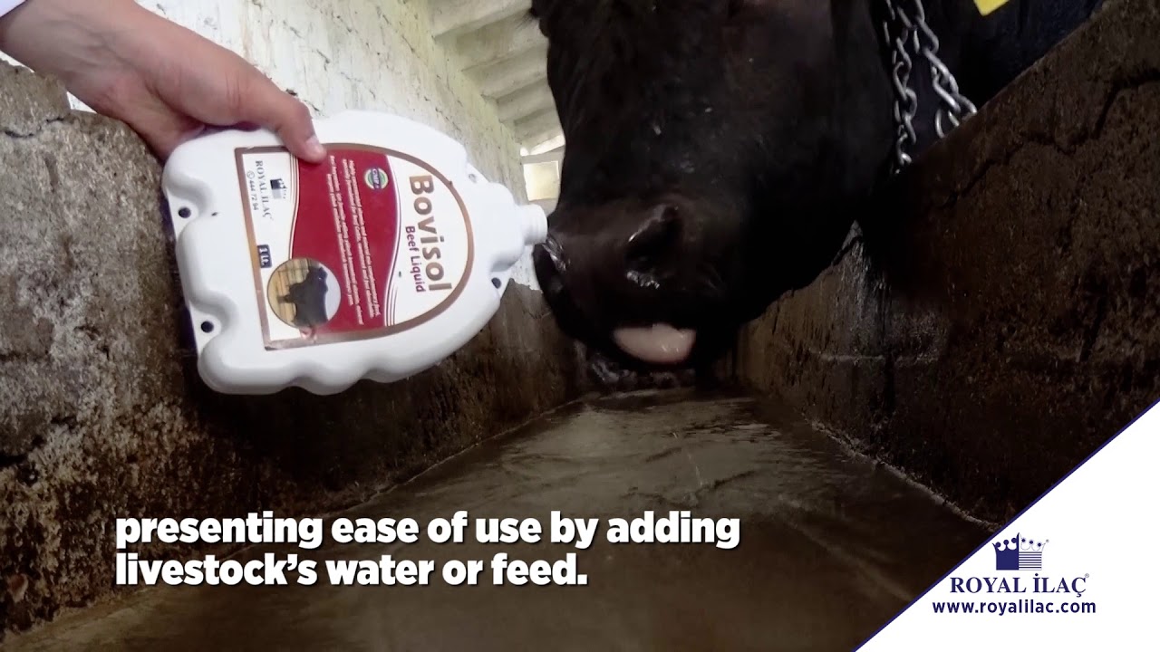 BOVISOL BEEF LIQUID : a quickly absorbable supplement with high density ...