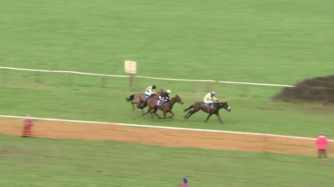 P2P - Dungarvan - 25 Jan 26 -  R2 Topline Currans 5yo Geldings Maiden