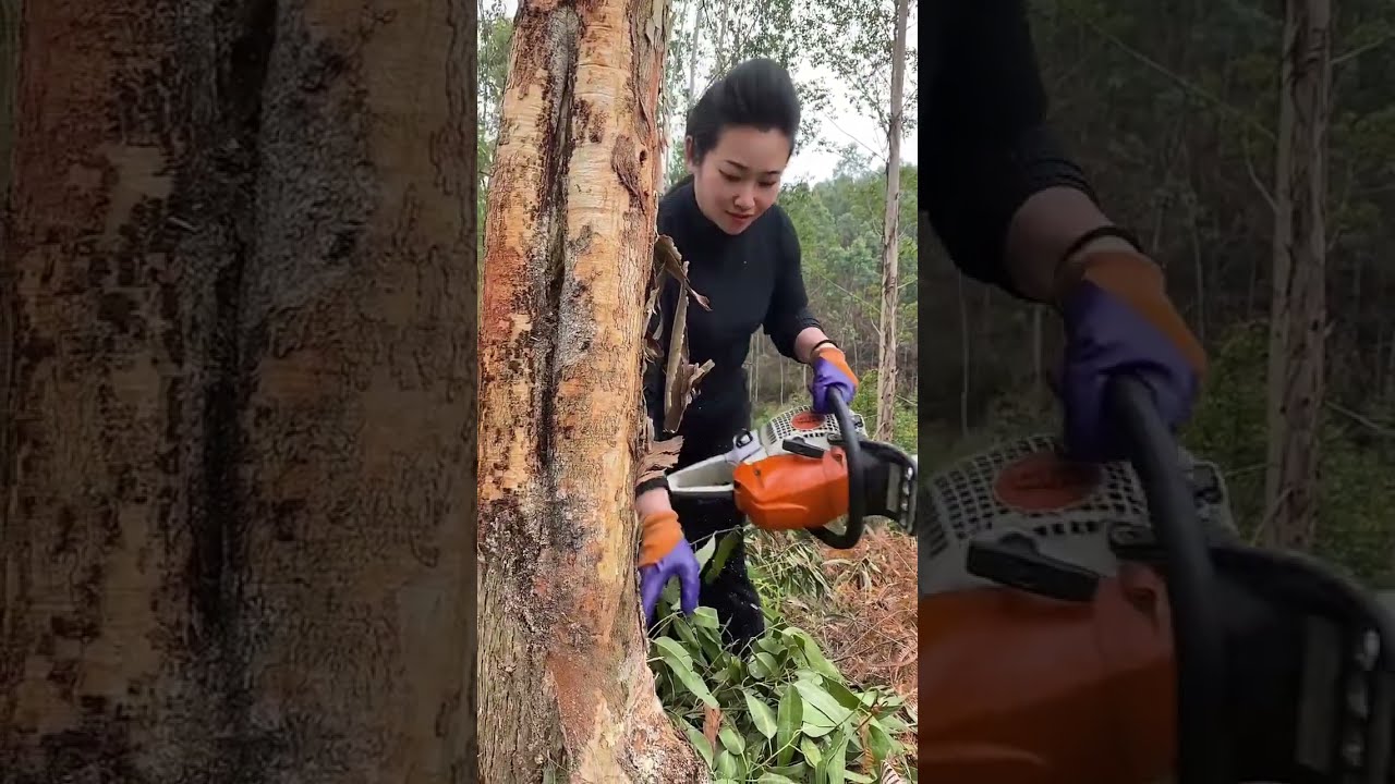 I Started Taking On Another Project Today Guardian Rural Woman