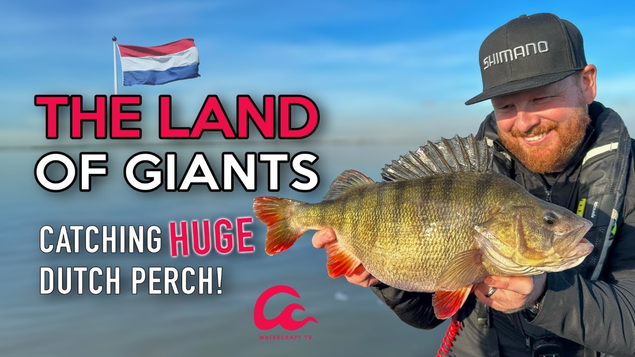 The Land of Giants: Lure Fishing in Holland for the World's