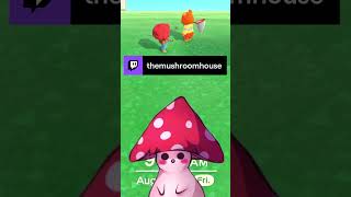 What Was That, Teddy?