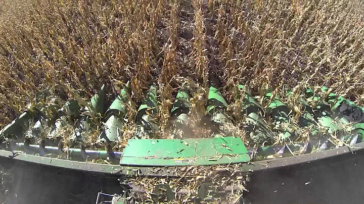 Nebraska 2014 Dryland Corn Harvest - GoPro