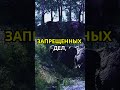 Мудрость Имама Али(а.с)