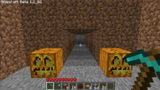 Minecraft - 4 Button Combo Locked Door