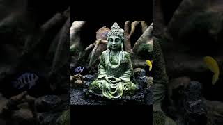 4 Step Satipatthana  Meditation | Guided Meditation By Bhikkhu Anālayo #vipassana