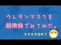 ウレタンマスクはスカスカなの？顕微鏡で１６種類の布マスク生地と比較して分かった驚きの事実！！小学生の夏休み自由研究にも使えるすごい説得力♪