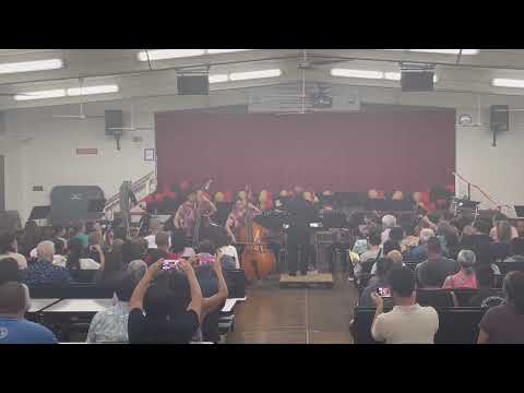Thumbnail for Niu Valley Middle School Concert Strings: Mummers by John Merle
