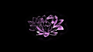 SAISEI [MIXTAPE]