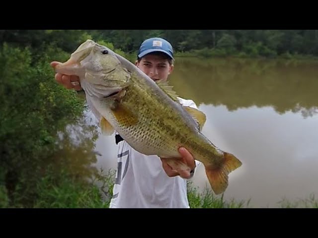 I Didn't Think It Was THAT Big - Rattletrap Pond Bass Fishing 