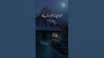 أفأنت تهدي العمي ولو كانوا لا يبصرون | الآية 43 من سورة يونس#quran #surah #surahyusuf