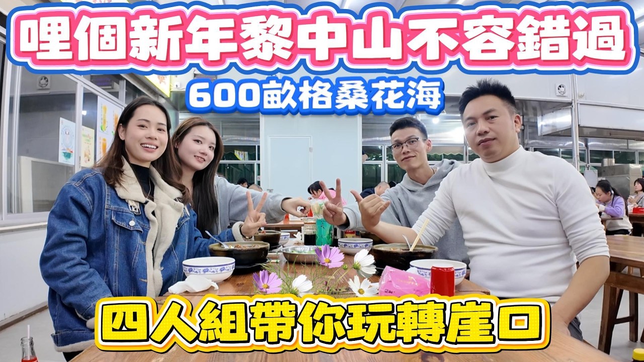 中山買樓｜中山樓盤｜格桑花海｜中山好的景點｜崖口花海