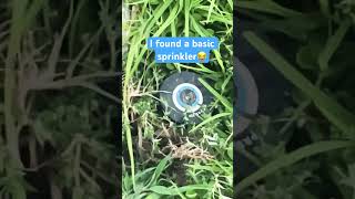 Grow a garden basic sprinkler