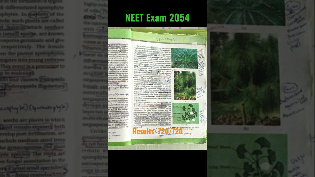 NEET Exam scam 2024. Future of students. Re viewon.