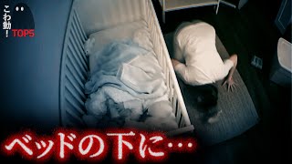 戦慄の心霊映像5選｜パート169