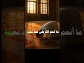 قال رسول الله ﷺ ما أنعم الله على عبد نعمة فحمد الله عليها إلا كان ذلك الحمد أفضل من تلك النعمة قال رسول الله ﷺ ما أنعم الله على عبد نعمة فحمد الله عليها إلا كان ذلك الحمد أفضل من تلك النعمة