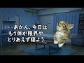 長時間の残業がある会社のあるある【猫ミーム】