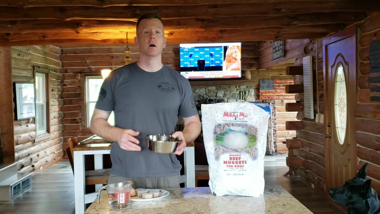 Feeding Routine - Raw Dog Food On a Budget.