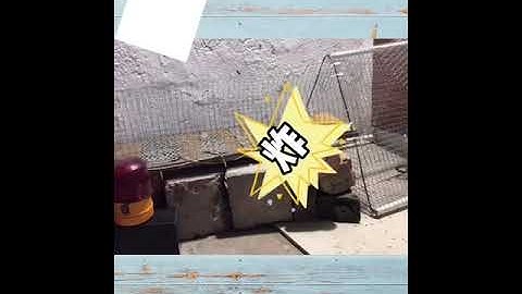 Homemade mouse trap | the most effective simple homemade rat trap #112