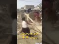 هرب عجول مضحك