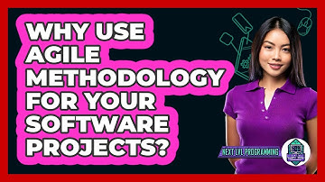 Why Use Agile Methodology For Your Software Projects? - Next LVL Programming