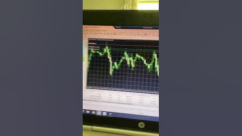 Forex EA Automated Trading Robot Live Video