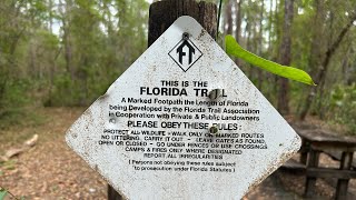Hiking the Florida Trail in the Green Swamp. 