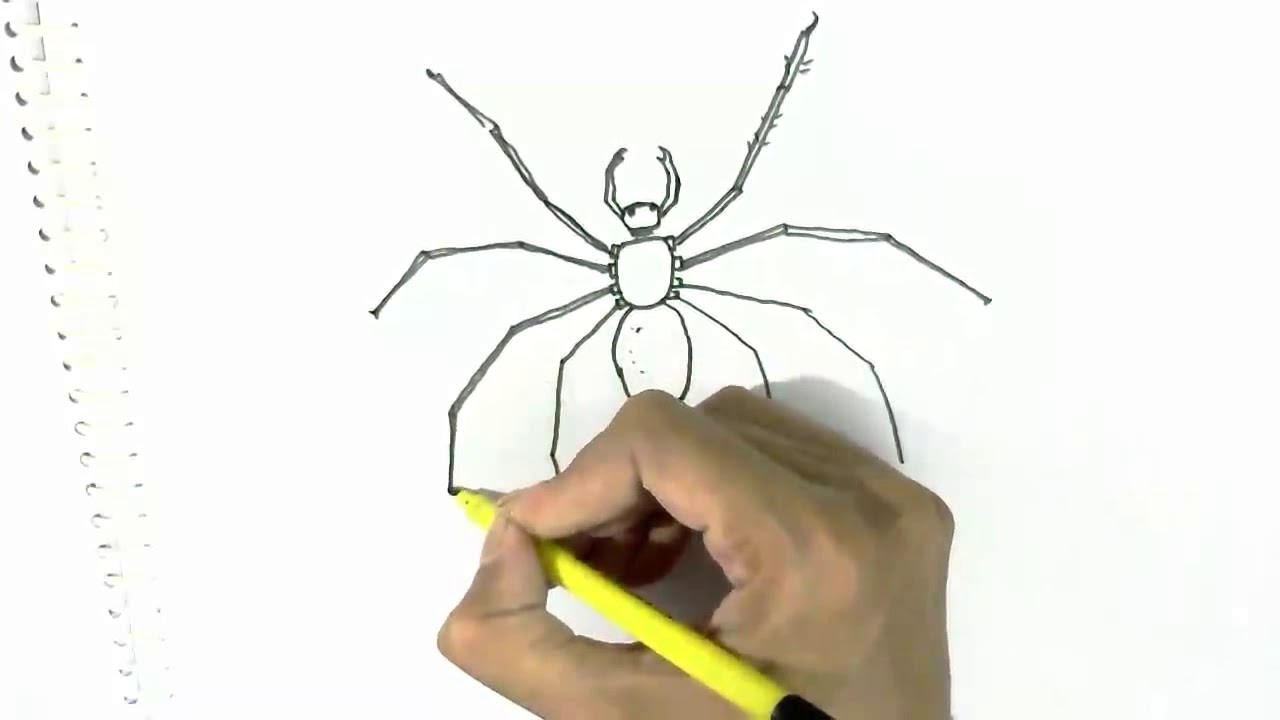 How to draw Spider step by step easy beginners - YouTube