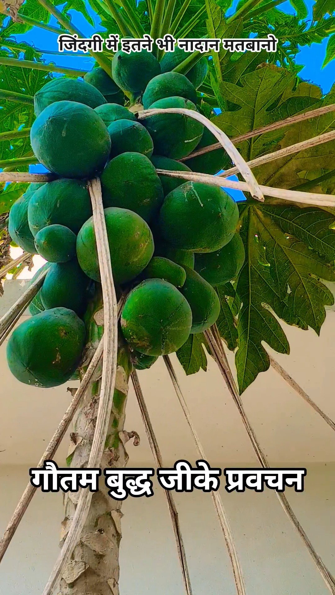 🚀SC बूस्ट के साथ Views को सुपरचार्ज करें - ShareChat