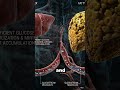 What Sugar Does to Your Body After 1 Year#science #sugar