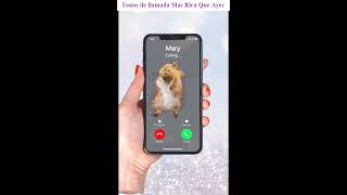 Descargar tonos de llamada Mas Rica Que Ayer gratis para movil android 2023 - Tonosdellamadamp3.com screenshot 3