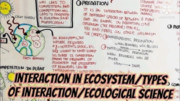 interaction in ecosystem/types of interaction/ecological science @umerfarooqbiology7083