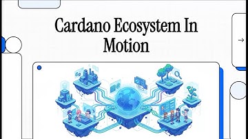 Cardano: 50% of all transactions from Strike