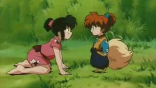 Shippo Needs To Learn How To Save A Life