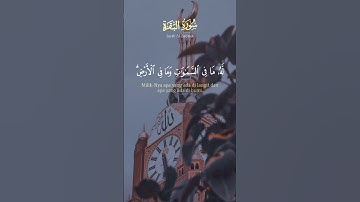 #اية_الكرسي #سورة_البقرة #ايات_قرانيه_قصيره