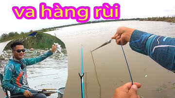 Câu Cá Sông Hồng va Hàng Khủng Rồi - Tí Mất Cần vì Nó Chạy Khỏe Qúa các bác ạ